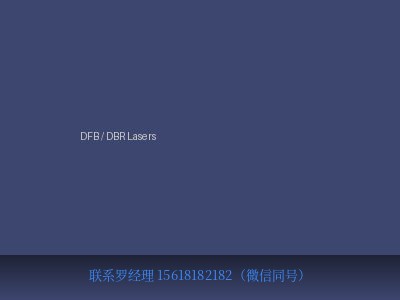 德国 Innolume GmbH DFB / DBR Lasers 分布反馈/分布布拉格反射半导体激光器 元锤OneHammer OneHammer Tech 中国供应